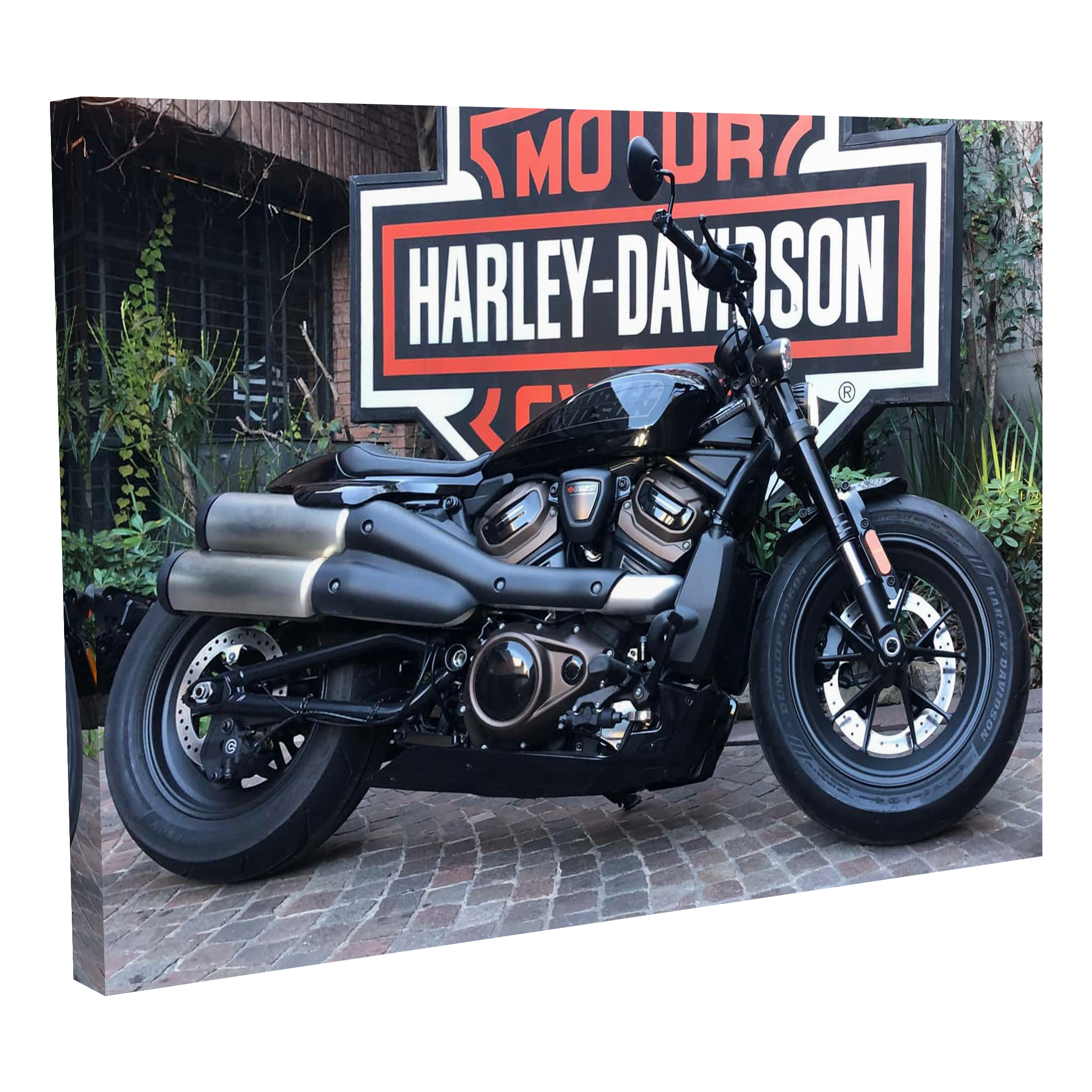 Harley-Davidson Sportster
