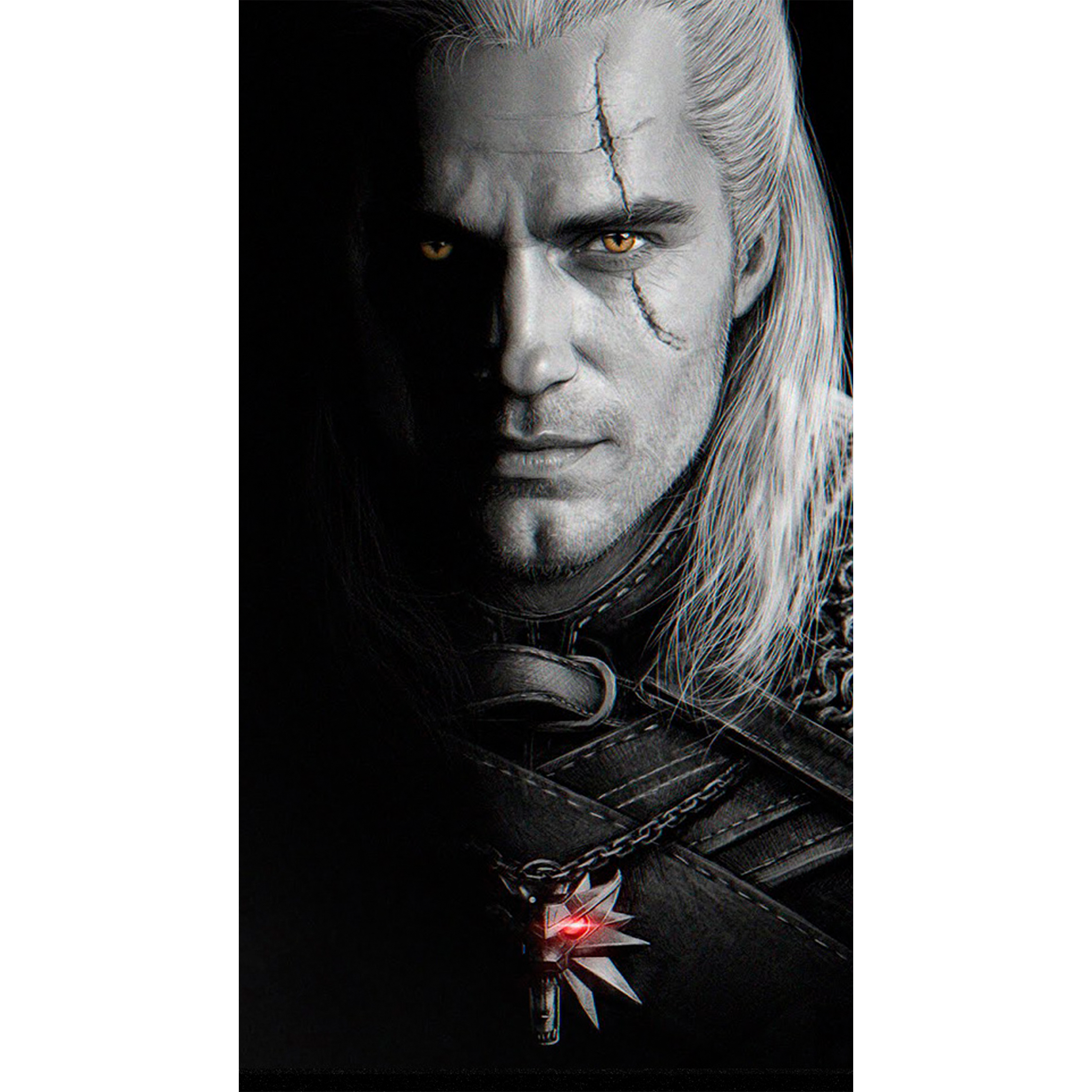 The Witcher