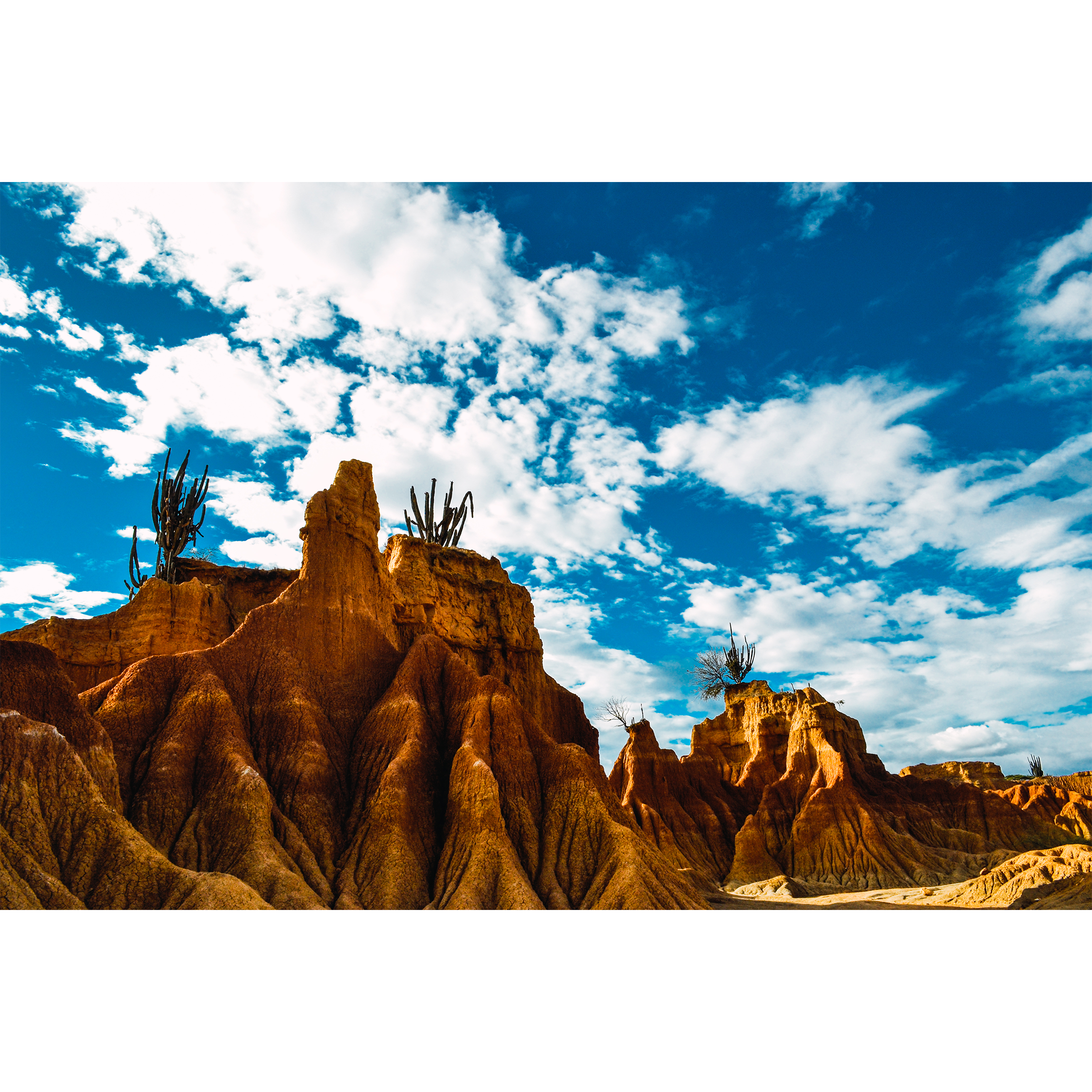Desierto