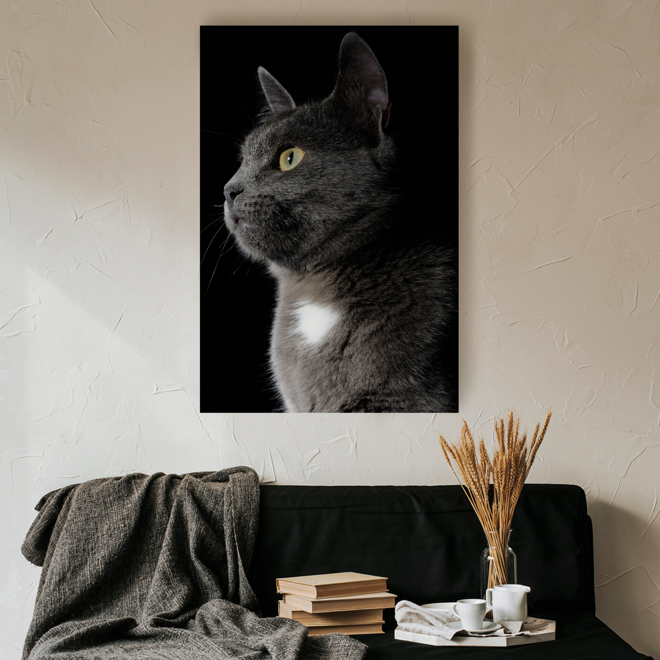 Gato