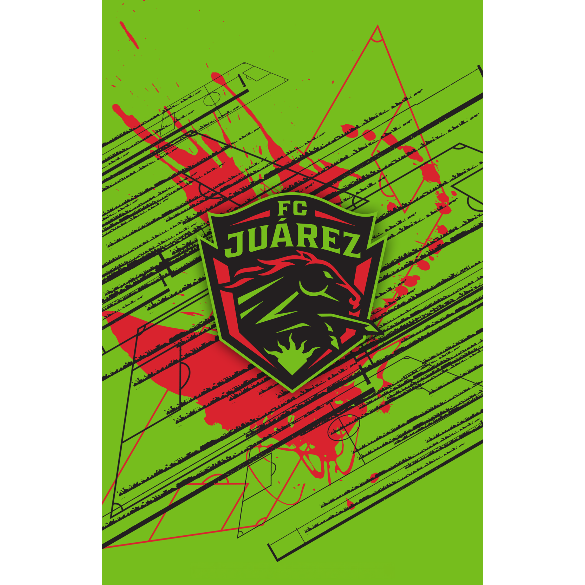 Fútbol Club Juárez