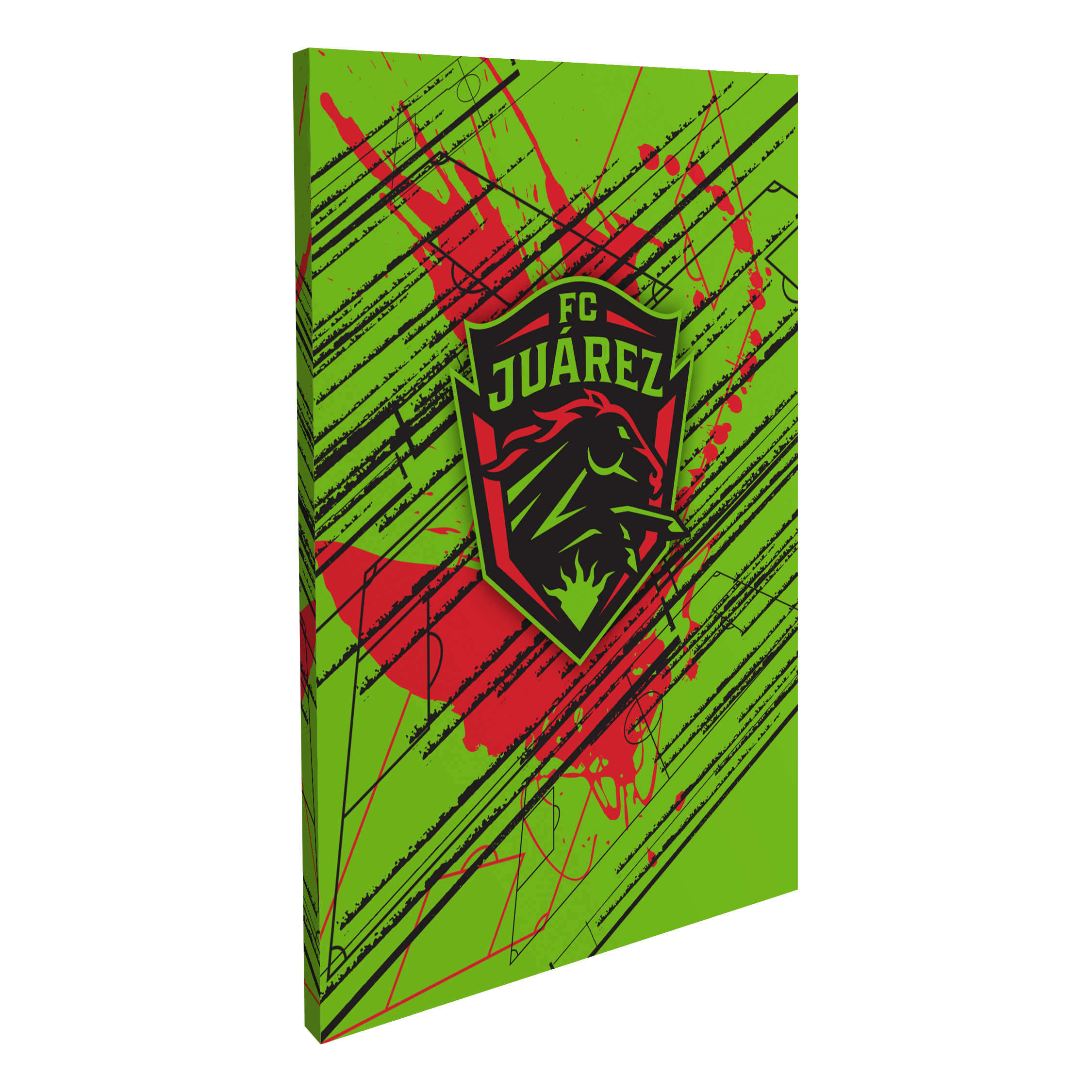 Fútbol Club Juárez