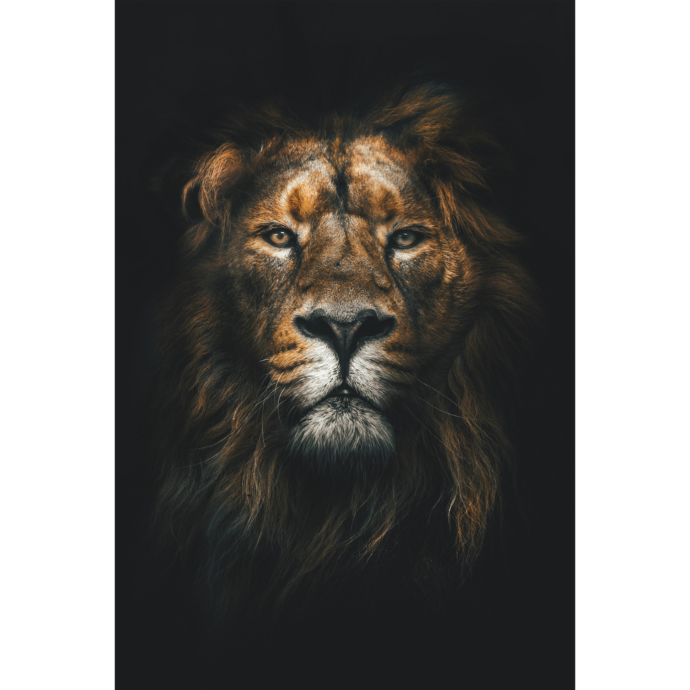 Leon