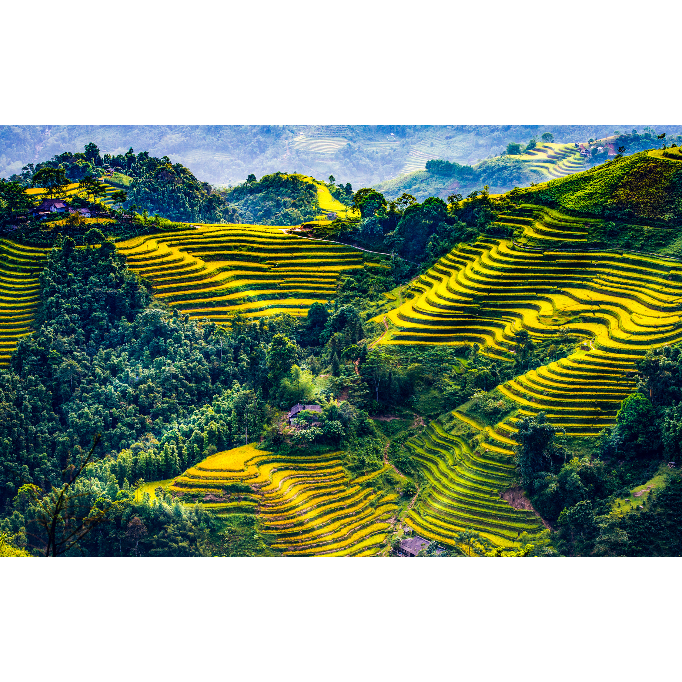 Terrazas de Arroz