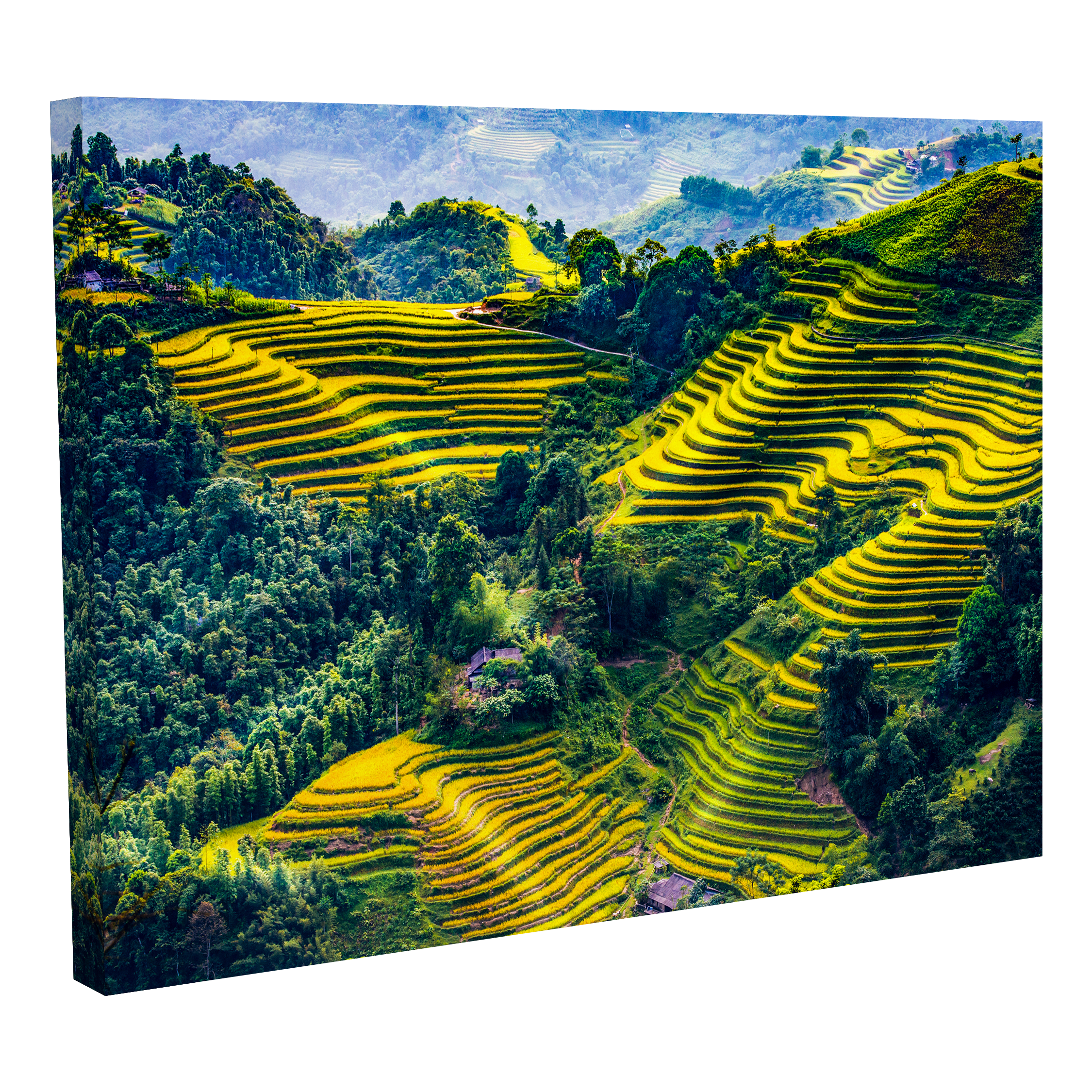 Terrazas de Arroz
