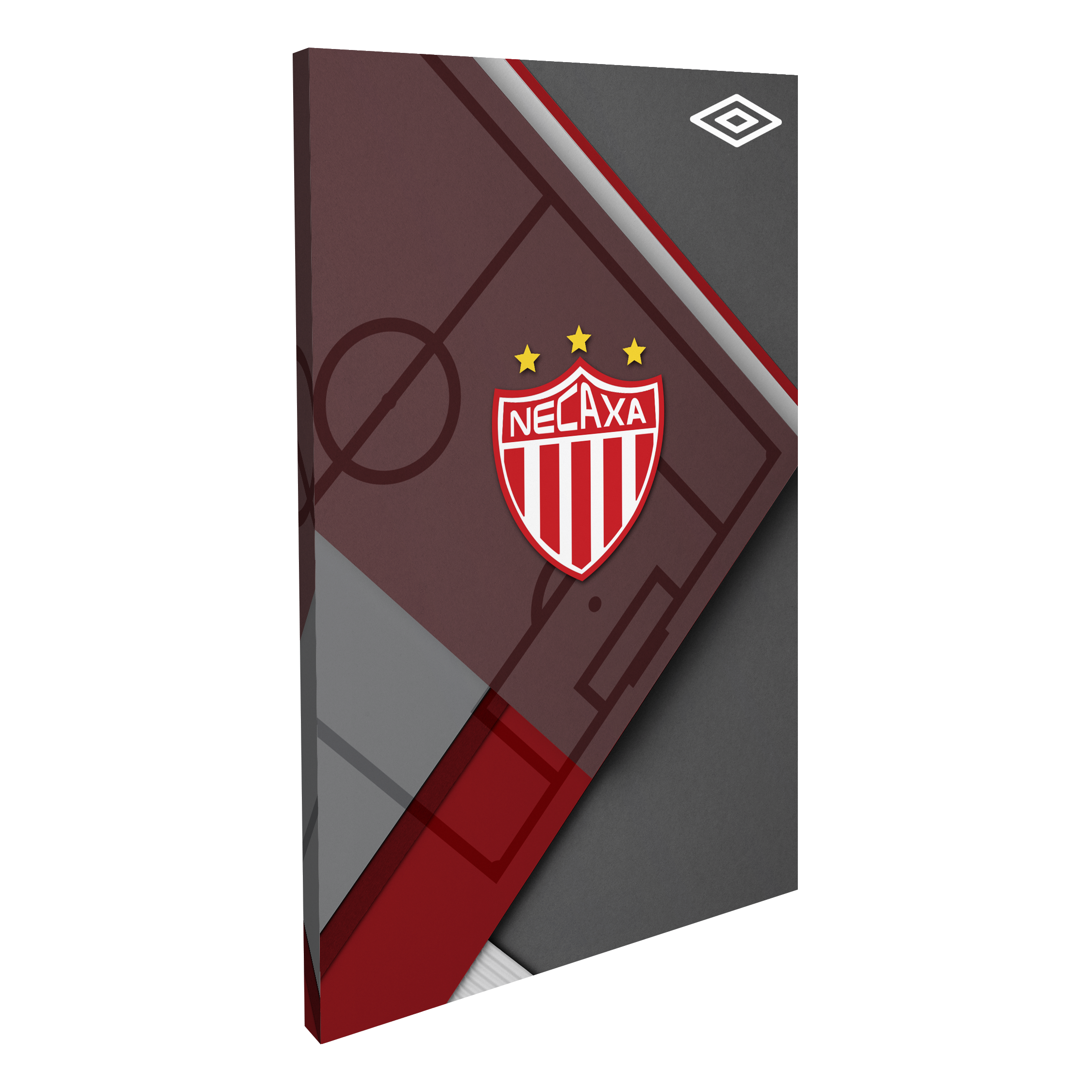Club Necaxa