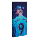 Erling Haaland