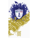 Club de Fútbol Pachuca