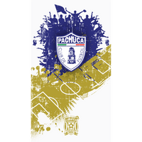 Club de Fútbol Pachuca