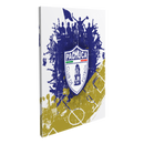 Club de Fútbol Pachuca
