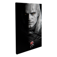 The Witcher