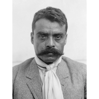 Zapata