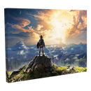 Zelda