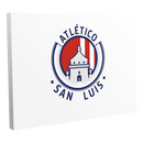 Atletico San Luis