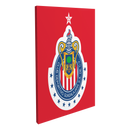 Club Deportivo Guadalajara