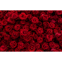 Rosas rojas