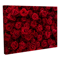 Rosas rojas