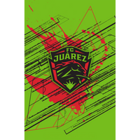 Fútbol Club Juárez
