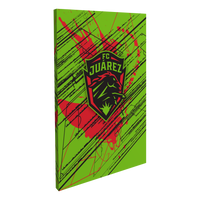 Fútbol Club Juárez