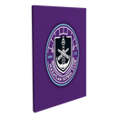 Mazatlán Fútbol Club