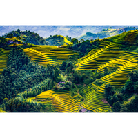 Terrazas de Arroz