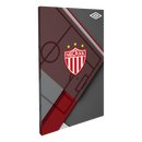 Club Necaxa