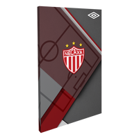 Club Necaxa