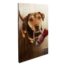 Perro