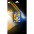 Club Tigres