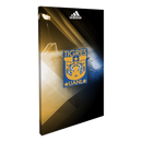 Club Tigres