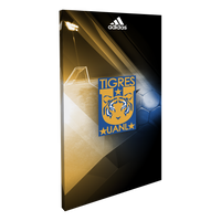 Club Tigres